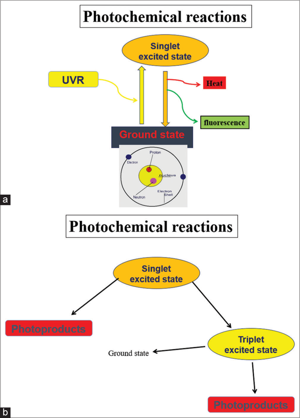 (a and b) Mechanism of photoexcitation. UVR: Ultraviolet radiation.