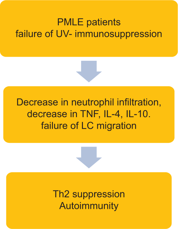 Failure of ultraviolet induced immunosuppression. LC: Langerhans cells, IL: Interleukin, PMLE: Polymorphous light eruption, TNF: Tumor necrosis factor.